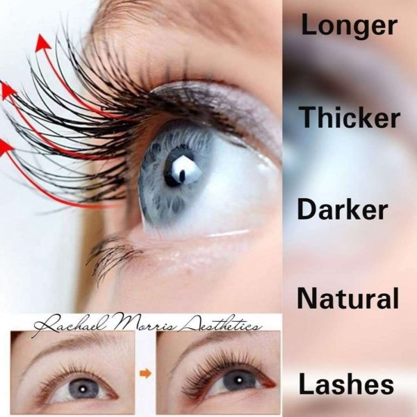 northampton-lash-enhancing-treatment